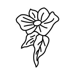 Begonia Icon