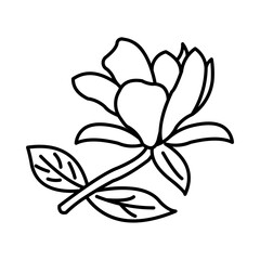 Magnolia Icon