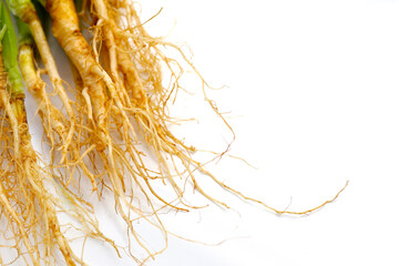 Fresh coriander (cilantro) with roots, a key ingredient in many Asian cuisines.