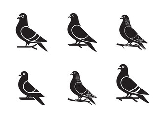 Set of Pigeon Silhouette. Pigeon Vector Art Illustration. Pigeon, Bird, Dove, Flying Bird. Silhouette pigeon vector illustration icon