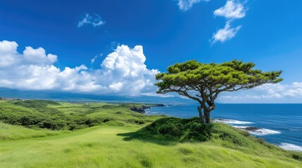 Fototapeta premium Coastal golf course landscape under a vibrant sky