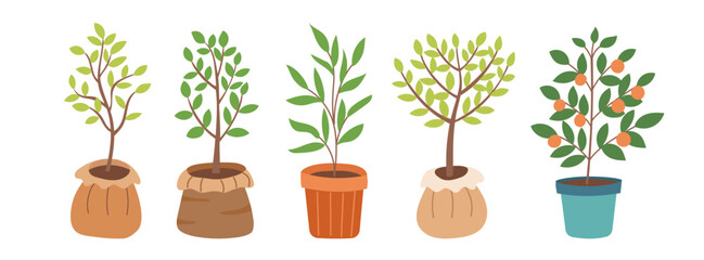 Set of tree seedlings isolated on white background. Spring, gardening and ecology concept. Save the planet concept. Vector flat illustration. 