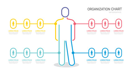 organization chart Infographic template with business avatar icons. vector illustration.