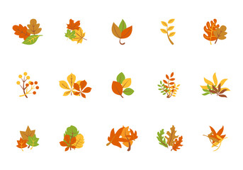 Autumn Leaves Illustration Element Set