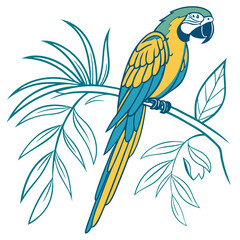 Blue-and-Yellow Macaw Illustration – Exotic Bird and Tropical Wildlife Design