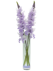 Fototapeta premium Twilight Elegance (Lavender Gladiolus Wisteria) slender, fluted glass vase with light purple-tinted water, holding a graceful bouquet