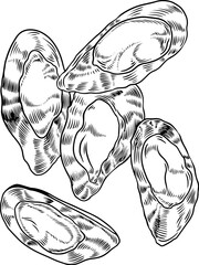 Sketch outline of mussels isolated on a white background hand-drawn vector illustration