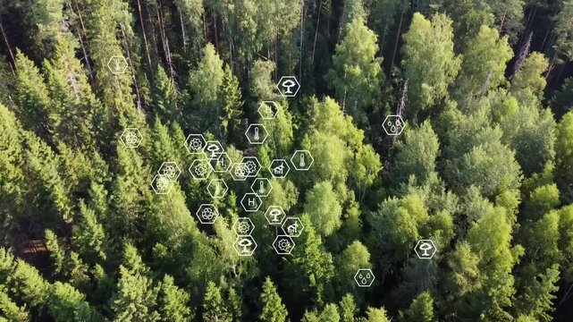 Quadro copter flight above forest concept of ecology. The concept of natural beauty and environmental technology. innovative solutions to combat air and water pollution, reduce waste, and restore.
