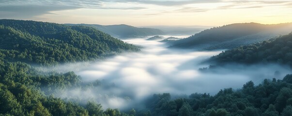 Soft fog rolling over a valley flat design top view serene morning 3D render colored pastel