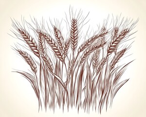 Fototapeta premium Rustic Wheat Sketch for Harvest Field Illustration.