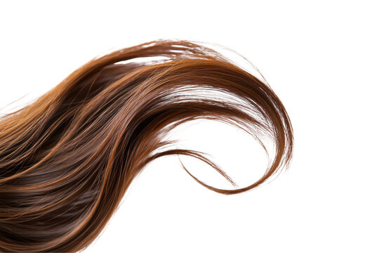 Brown hair isolated on transparent or white background, png