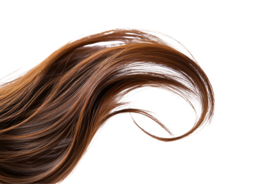 Brown hair isolated on transparent or white background, png
