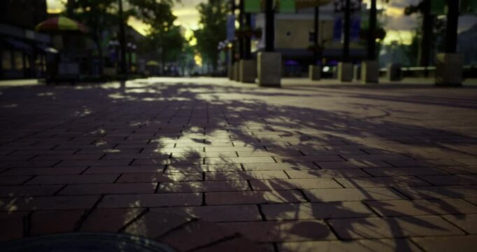 A serene cobblestone pathway is illuminated by soft twilight hues. Shadows from trees and buildings create intricate patterns across the ground. The atmosphere feels calm and inviting.