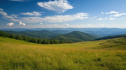 Fototapeta premium Expansive green meadow overlooking rolling hills and a blue sky