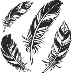 Obraz premium Hand-Drawn Feather Vector Set – Stylish Black & White Ink Art