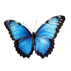 Fototapeta premium A large blue butterfly sits on a white surface, its delicate wings spread wide