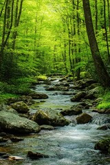 Obraz premium A scenic view of a flowing river in a forest setting