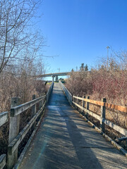 Obraz premium Mercer Slough Nature Park