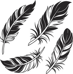 Obraz premium Elegant Black and White Feather Vector Set – Stylish Hand-Drawn Illustration