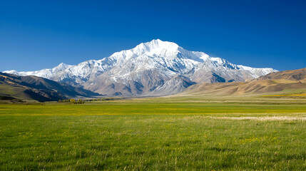 Fototapeta premium Snowy Mountain Overlooking Lush Meadow
