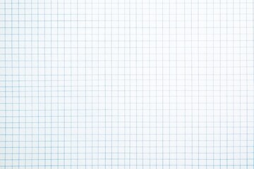 Clean white grid paper background, perfect for notes and design planning