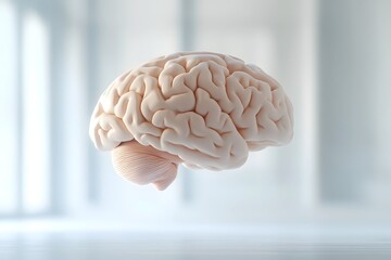 3D rendering of a floating human brain