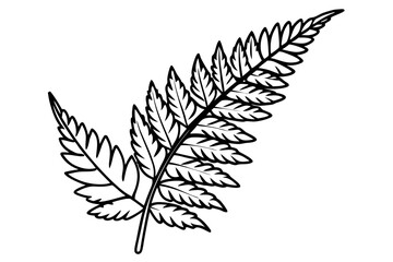 a pack of fern leaf line art silhouette vector illustration
