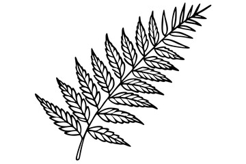 a pack of fern leaf line art silhouette vector illustration