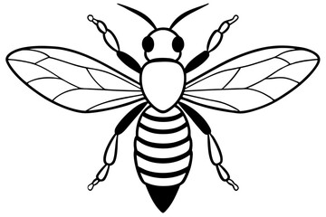 bee line art silhouette vector illustration