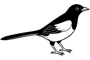 blackbird line art silhouette vector illustration