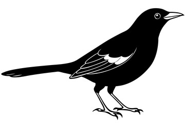 blackbird line art silhouette vector illustration