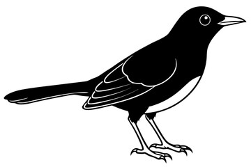 blackbird line art silhouette vector illustration