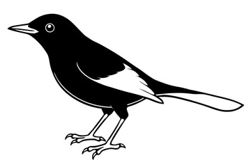 blackbird line art silhouette vector illustration