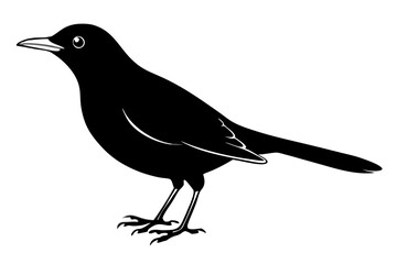 blackbird line art silhouette vector illustration