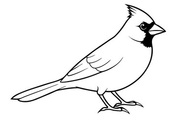 cardinal line art silhouette vector illustration
