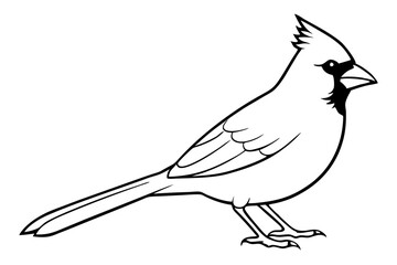 cardinal line art silhouette vector illustration
