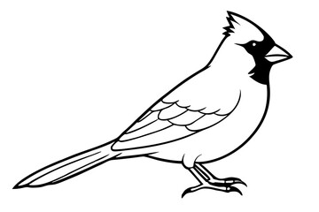 cardinal line art silhouette vector illustration