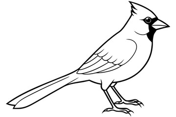 cardinal line art silhouette vector illustration