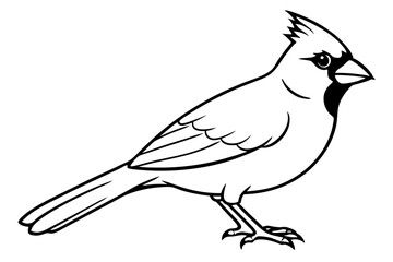 cardinal line art silhouette vector illustration