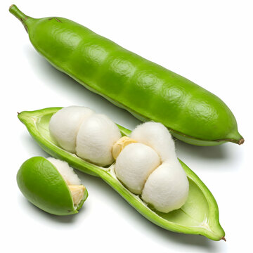 A whole inga bean (ice-cream bean) with long green pod, one split open showing white, cotton-like flesh inside