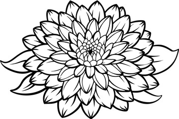 chrysanthemum line art silhouette vector illustration