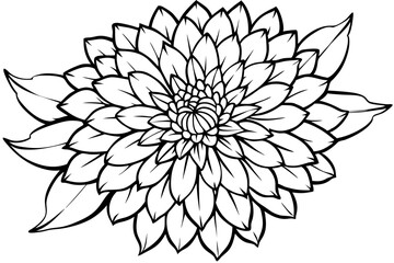 chrysanthemum line art silhouette vector illustration