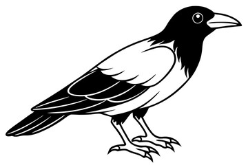 crow line art silhouette vector illustration