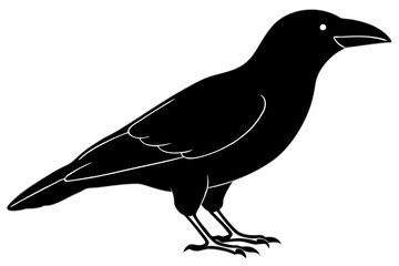 crow line art silhouette vector illustration