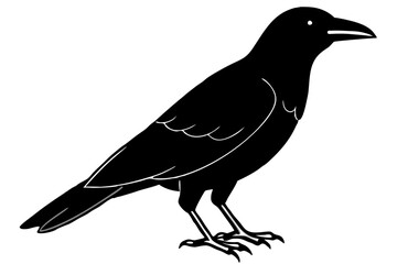 crow line art silhouette vector illustration