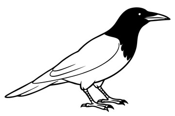 crow line art silhouette vector illustration