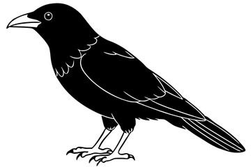 crow line art silhouette vector illustration