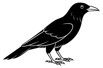crow line art silhouette vector illustration