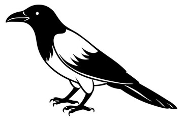 crow line art silhouette vector illustration