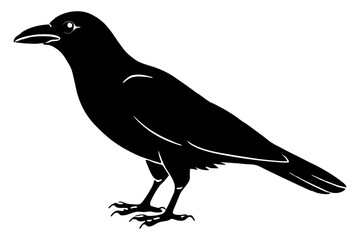 crow line art silhouette vector illustration